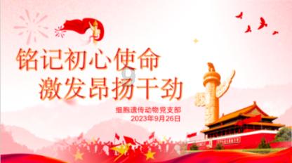 如果雪球结构产品发生集中敲入,对股市影响应该怎样解读?